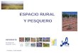 Espacio rural y pesquero. Agricultura, ganadería y pesca en España