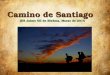 Camino de Santiago. IES Jaime Gil de Biedma, 2014