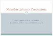 Mycobacterium y treponema