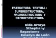 Estructura Textual, superestructura, macroestructura y microestructura