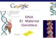 Historia del ADN. PowerPoint para 4º Medo, biología, plan común