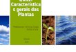 Quizz da Botânica - Características Gerais das Plantas
