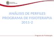 Análisis de perfiles fisioterapia 2011