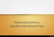 12. retinoblastoma y seudorretinoblastomas