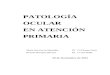 (2012-11-20) Oftalmologia en a.p. (doc)