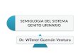 Semiología del sistema genitourinario