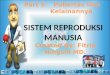 Sistem reproduksi manusia part 5 (newest)