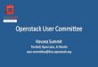 OpenStack User Committee - Havana Summit