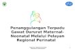 02 pelayanan perinatal regional