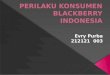 Perilaku konsumen blackberry indonesia