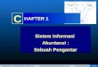 Pertemuan 2 sistem informasi akuntansi romney ch01