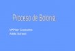 Proceso De Bolonia Presentacion