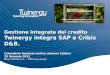 La gestione integrata del Credito Twinergy. Integrazione tra SAP e Cribis D&B