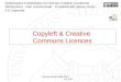 Copyleft e Creative Common Licences