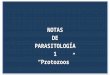 Parasitos 1 Protozoos