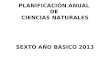 Planificacion anual ciencias naturales sexto año 2013