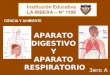 Sistema digestivo y  . IE N°1198 La Ribera. Aula de Innovación Pedagógica