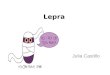 Historia natural de la lepra