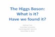The Higgs Boson - Dr Michael Tuts, Columbia University