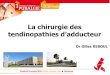 La chirurgie des tendinopathies d’adducteur - Dr Gilles Reboul - 1ère Journée Européenne de la Pubalgie - Clinique du sport Bordeaux Mérignac