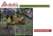 Aula semi goiânia delta  morfologia vegetal