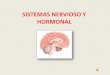 Sistemas nervioso y hormonal