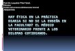 ¿Hay ética en la práctica diaria si no se la enseña en la facultad? El médico veterinario frente a los dilemas cotidianos. Congreso Veterinario de León, México. 2012