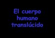 The Translucent Human Body