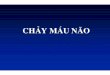 Chay mau nao[bacsihoasung.wordpress.com]