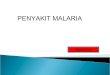 P2 MALARIA by Risno, S.Km