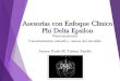 Asesorías Phi Delta Epsilon - Vascularización Cerebral