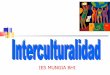 Interculturalidad (alboan euskaditik venezuelaraino)