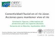Conectividad Fluvial en el Río Jucar - Resultados Preliminares