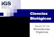 Biocosmiatria 2008   SesióN 04   Biomoleculas Organicas