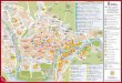 87  *V  Estella  lizarra  mapa ciudad y comarca  *V
