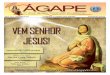 Jornal Ágape n°14 - novembro 2011