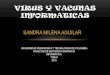 V virus y vacunas informaticos