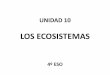 Unidad 10.5   los ciclos biogeoquímicos