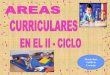 L 6 areas_curriculares