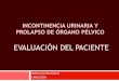 Incontinencia Urinaria y Prolapso de Organo Pelvico: Evaluacion