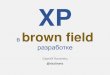 Xp в brown field разработке