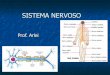 Sistema Nervoso - Prof. Arlei