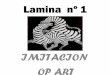 Lamina  nº 1( op art)