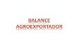 Anexo balance agroexportador
