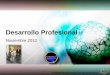 Desarrollo Profesional - Noviembre 2012