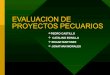 Evaluacion de proyectos pecuarios (edgar, pedro y jonathan)