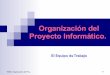 Proy00 Organizacion Del Proyecto Informatico