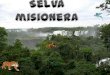 Selva misionera