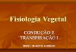 2º Ano - Fisiologia vegetal - Condução e Transpiração I