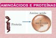 Aminoácidos e proteínas
